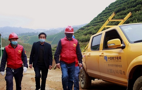 平塘供電局：“加減法”同構服務，護航“貴州春茶第一壺”