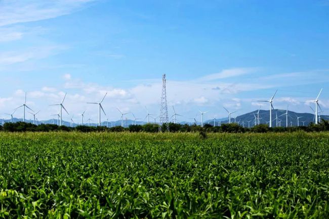 收購墨西哥818MW光伏電站，國家電投境外光伏電站裝機超6GW