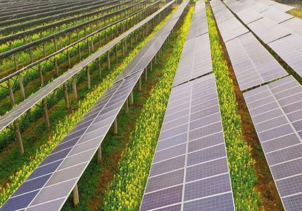廣東清遠建設小型農光互補光伏發(fā)電站，工程總投資1.5億元