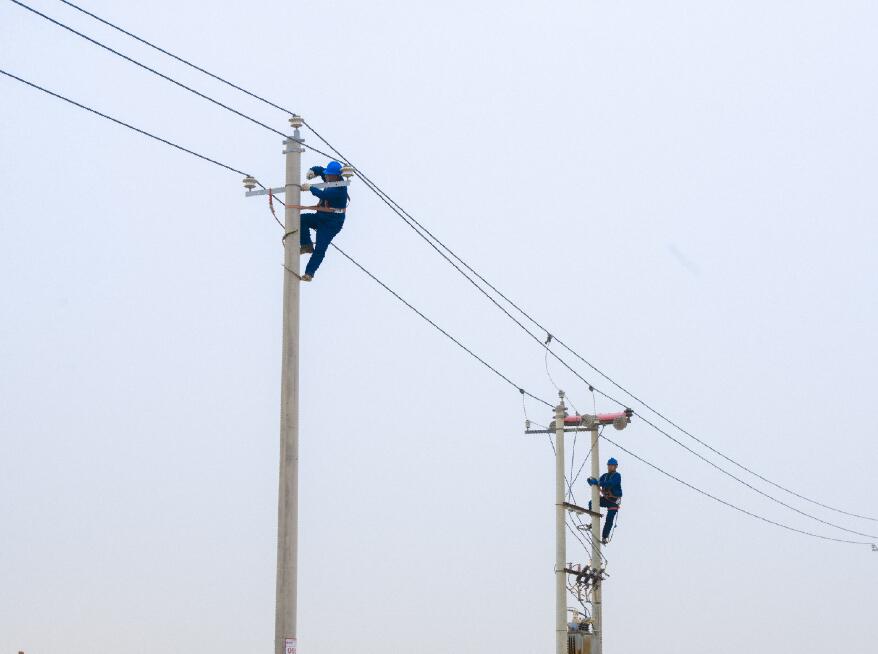 阿拉善供電公司：電網(wǎng)健康“體檢”，從登桿開始