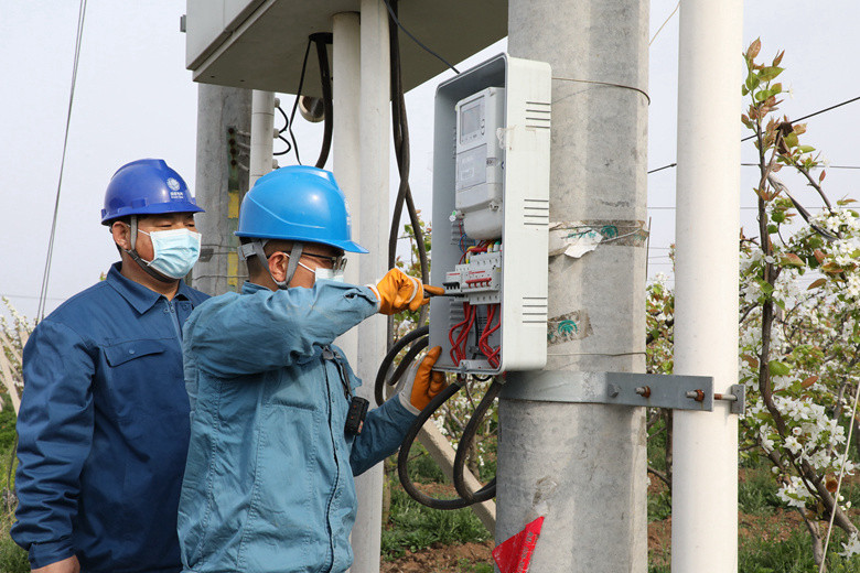 國網(wǎng)諸城市供電公司電力足，千畝梨園花正濃