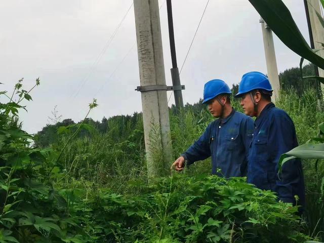 國網(wǎng)長春供電公司積極應(yīng)對極端天氣，確保線路設(shè)備穩(wěn)定運行