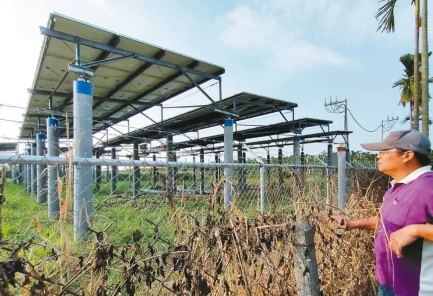 臺媒：農(nóng)田“種電”讓農(nóng)民苦不堪言，島內(nèi)面臨農(nóng)電兩失困境
