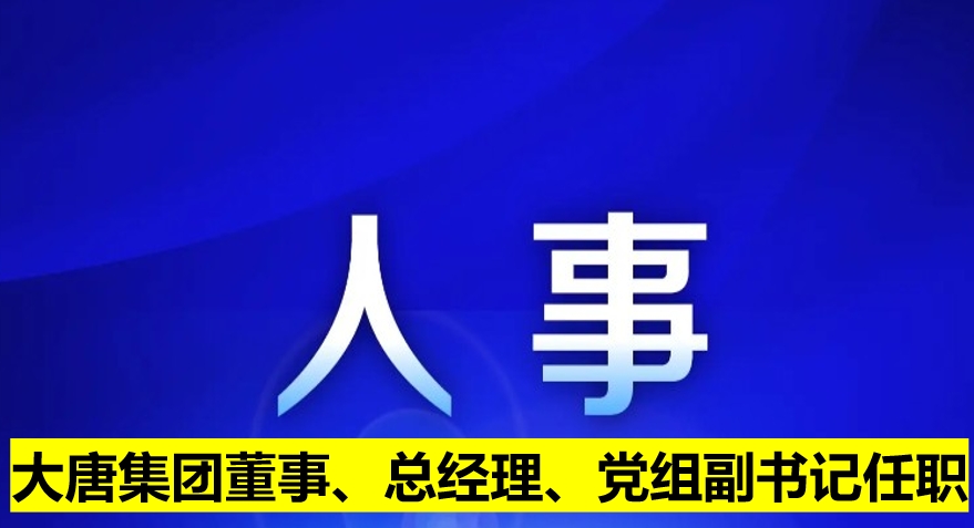大唐集團(tuán)董事、總經(jīng)理、黨組副書記任職