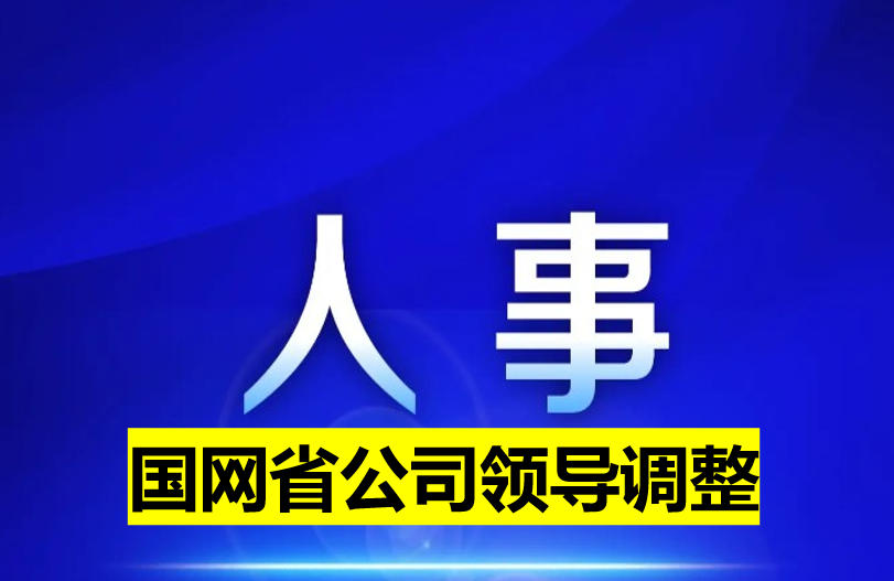 國(guó)網(wǎng)省公司領(lǐng)導(dǎo)調(diào)整